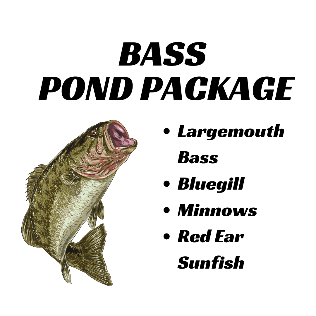 Order Live Sport Fish and Bait Fish Online Sport Fish Direct